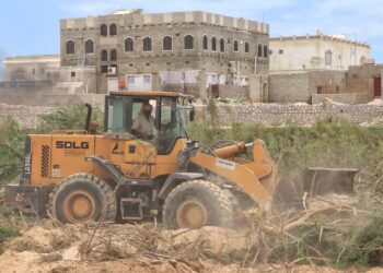 إزالة أشجار السيسبان من أودية المهرة تحسبًا للمنخفض الجوي