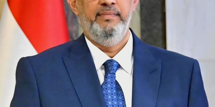 وزير المالية يبحث مع سفير الاتحاد الأوروبي دعم أولويات الحكومة