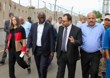 وزير الكهرباء  ونائب رئيس البنك الدولي يتفقدان محطة الحسوة