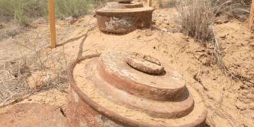 “مسام” ينزع 1263 لغماً وذخيرة خلال أسبوع