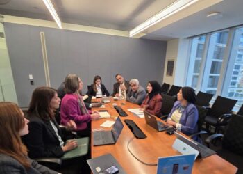 وزيرة التخطيط تبحث مع مؤسسة التمويل الدولية تعزيز الشراكة مع القطاع الخاص ودعم قطاع الكهرباء