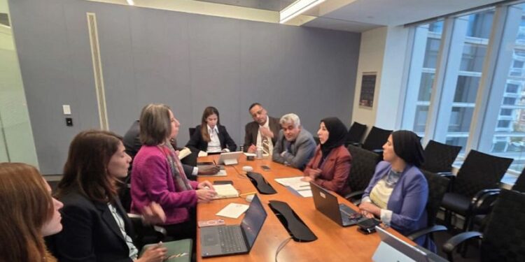 وزيرة التخطيط تبحث مع مؤسسة التمويل الدولية تعزيز الشراكة مع القطاع الخاص ودعم قطاع الكهرباء