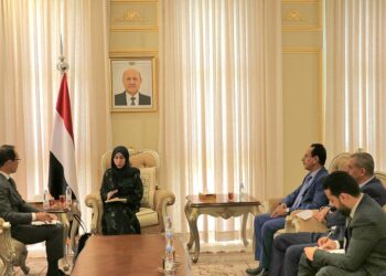 وزيرة التخطيط تبحث مع السفير الياباني تعزيز التعاون التنموي