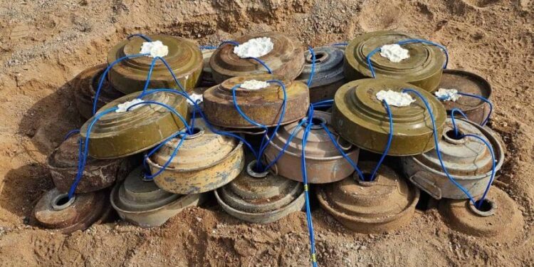 “مسام” لنزع الالغام يطهر أكثر من مليون متر مربع منذ بداية أبريل