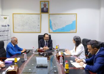 وزير الكهرباء يبحث مع السفيره الفرنسيه تعزيز التعاون في قطاع الطاقة