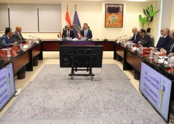 باصرة يبحث مع نظيره المصري الشراكة الاستراتيجية وتبادل الخبرات في قطاع الاتصالات