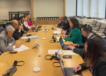 وزير المالية يبحث مع صندوق النقد  دعم جهود تعزيز الإيرادات