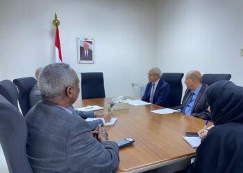 نائب وزير الخارجية يبحث مع منسق الأمم المتحدة بالإنابة تعزيز التعاون المشترك