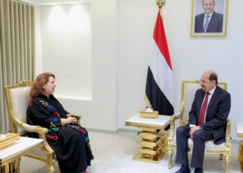 رئيس الوزراء يبحث مع ممثلة البرنامج الانمائي تعزيز التعاون بين الجانبين