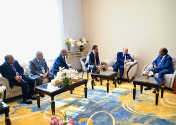 العليمي يبحث  مع الرئيس الصومالي جهود مكافحة الارهاب والمليشيات المسلحة