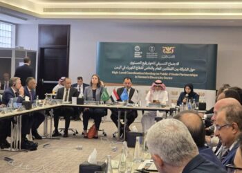 فريق وزاري يشارك بالحوار رفيع المستوى بين القطاعين العام والخاص حول قطاع الكهرباء