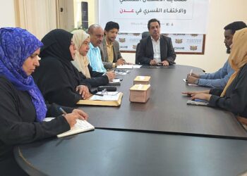 اللجنة الوطنية للتحقيق تبحث مع منظمة نداء جنيف تعزيز التعاون في مجال  حقوق الإنسان