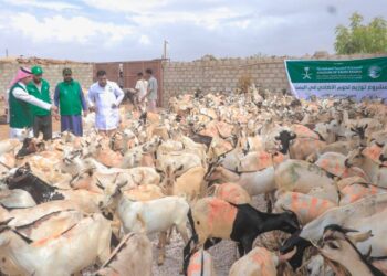 مركز الملك سلمان يطلع على تنفيذ مشروع الأضاحي  بالمهره و عدن