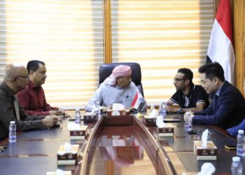 وكيل حضرموت يناقش مع شركة صينية خطط دعم قطاع التوليد بالطاقة البديلة