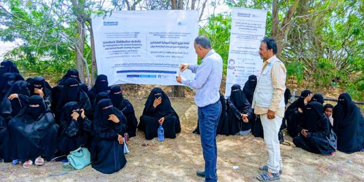 تدشين توزيع الثروة الحيوانية للمشاركين في برنامج تربية وصحة الحيوان بلحج