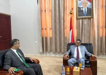وزير التعليم العالي يبحث مع سفيري الصومال وليبيا سبل تعزيز التعاون الأكاديمي