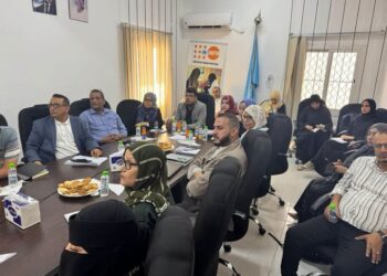 وزارة الصحة تناقش مستوى تدخلات صندوق الأمم المتحدة للسكان بالشراكة مع المنظمات المحلية
