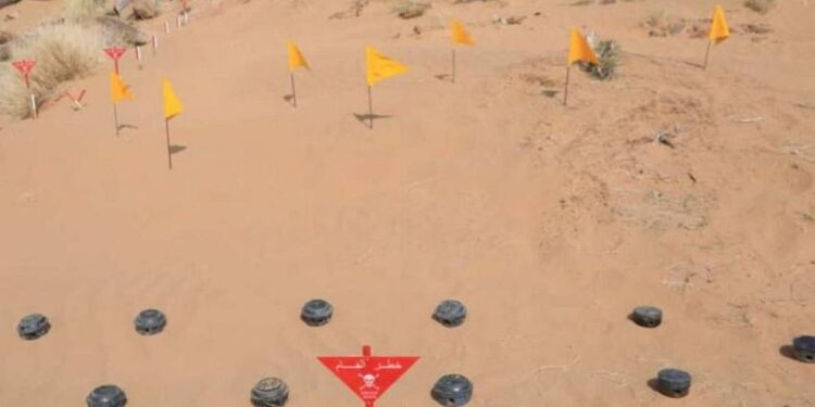 “مسام” ينزع أكثر من 5653 لغم وذخيرة في اليمن خلال يوليو