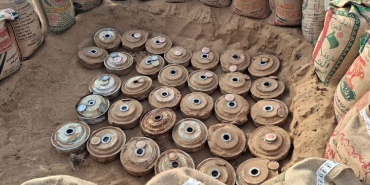 “مسام” ينزع 7444 لغماً وذخيرة وعبوة   خلال 14 يوماً