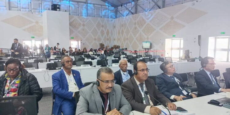 اليمن يدعو في COP17 إلى تعزيز تمويل مواجهة الجفاف وتدهور الأراضي