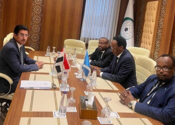 بجاش يبحث مع نائب وزير الخارجية الصومالي العلاقات الثنائية
