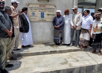 أمين  المهرة يفتتح مركز «الدمخ» للإنزال السمكي في المسيلة