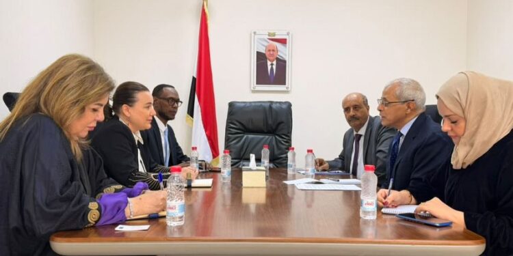 نائب وزير الخارجية يبحث مع الممثلة المقيمة للبرنامج الإنمائي تعزيز الشراكة ودعم التعافي والاستقرار