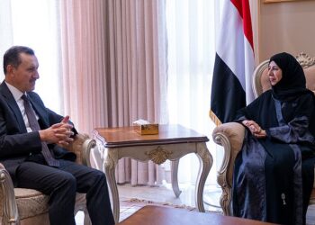 وزيرة الخارجية تبحث مع القائم بالأعمال التركي مستجدات الأوضاع وتعزيز التعاون الثنائي