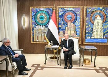 العليمي يشيد بالموقف المصري إلى جانب الشعب اليمني وقيادته السياسية