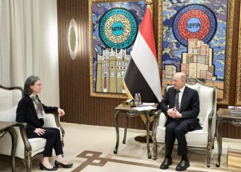 العليمي يؤكد قدرة الدولة على استعادة زمام المبادرة في الساحل الغربي