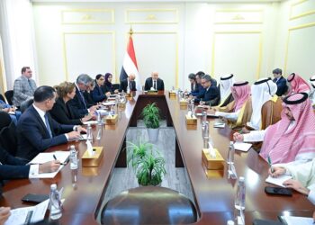 رئيس مجلس القيادة: المليشيات الحوثية اختارت الحرب وعليها تحمل نتائجها