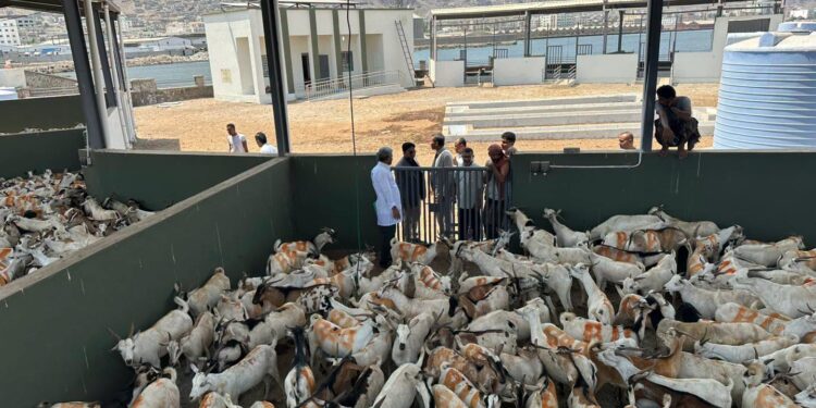 وكيل وزارة الزراعة يدشن العمل بمركز العزل البيطري «دكة الكباش» بعدن
