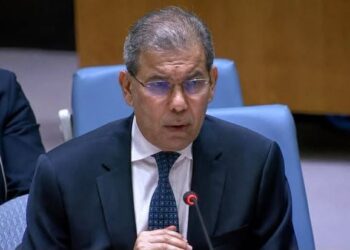 الحكومة : نتعامل مع التطورات الأخيرة في الساحل الغربي وباب المندب بكل مسؤولية وحزم