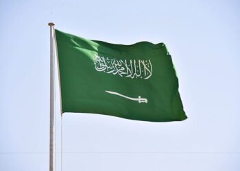 السعودية تجدد دعمها للمجلس  الرئاسي والحكومة لإنهاء الانقلاب الحوثي